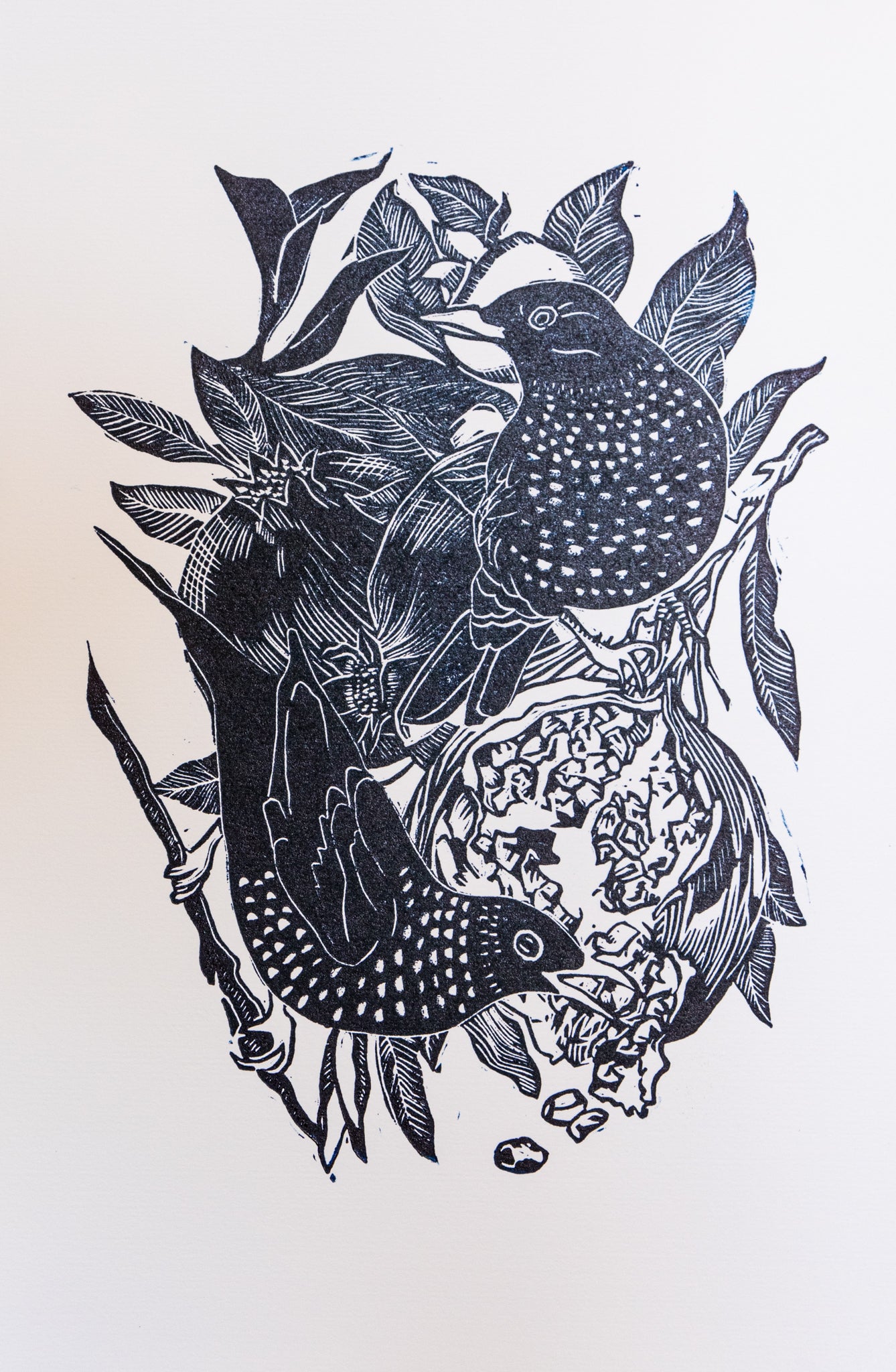 "Starling and pomegranate", lino print